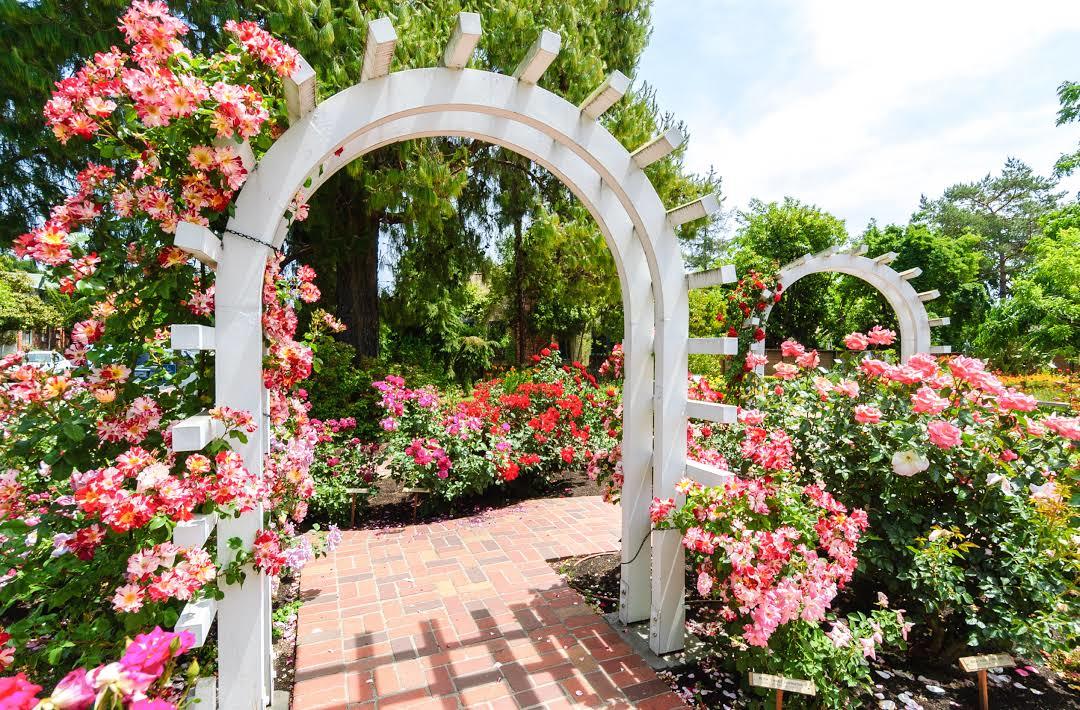 Luther Burbank Home and Gardens